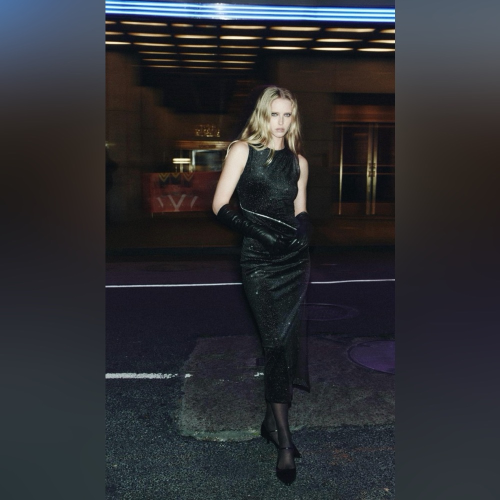 ZARA SPARKLY VELVET DRESS . SIZE XL
